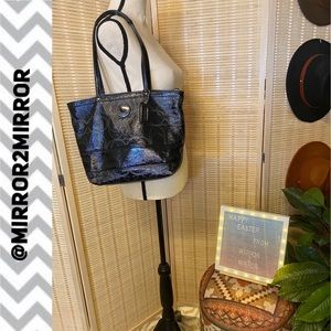 EUC Coach purse